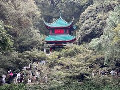 -黄兴南路步行商业街