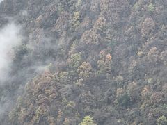 -塔云山