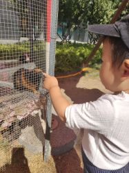 -萌宠亲子动物乐园(槐房万达店)