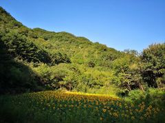 -北京山里寒舍度假酒店