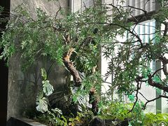 -海立阁海鲜江浙菜(漕河泾印象城店)