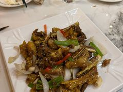 -喀什骑仕大观园