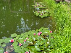 -黄海国家森林公园