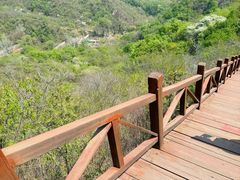 -大岭沟猕猴桃谷风景区