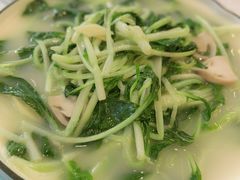 西洋菜-星河湾半岛酒店-真粤中餐厅