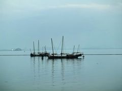-贡湖湾湿地公园