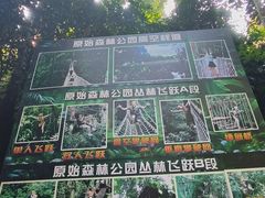 -西双版纳原始森林公园