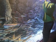 -多彩贵州城极地海洋世界