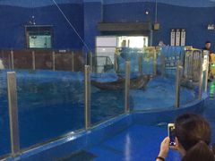 -苏州海洋馆