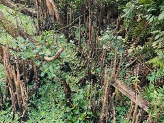 -白沙门生态公园