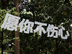 -杭州植物园