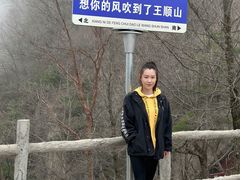 -王顺山国家森林公园