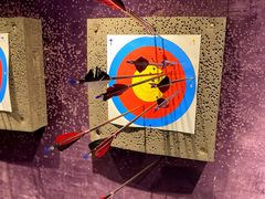 -轻武堂传统射箭·功夫茶·射击体验馆(仁和新城店)