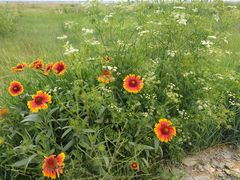 -敕勒川草原文化旅游区