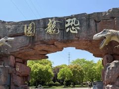 -上海海湾国家森林公园