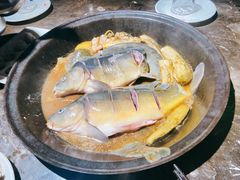 -肥鱼屯活鱼锅(惠工街店)