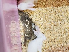 -正佳雨林生态植物园