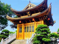 -上海东林寺(金山区)