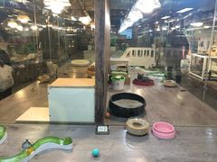 -宠物世家(仲盛世界商城店)