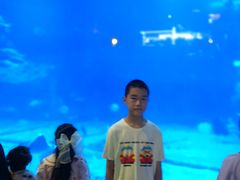 -烟台海昌鲸鲨海洋公园