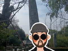 -上海佘山国家森林公园天马山园