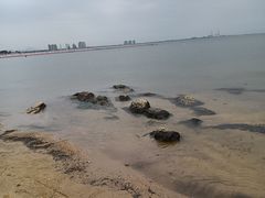 -东戴河风景区-止锚湾