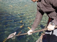 -玉水寨丽江源餐厅