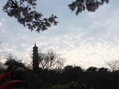 -巢湖姥山岛