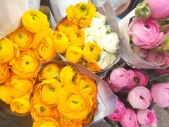 -循礼门鲜花花市(武汉循礼门店)