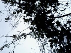 -半月岩风景旅游区