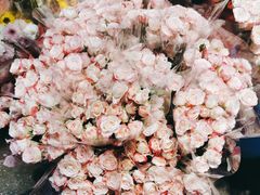 -循礼门鲜花花市(武汉循礼门店)