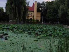 -黛秀湖公园