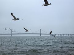 -星海广场