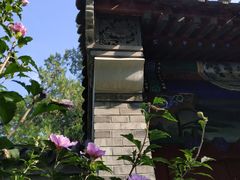 -阳台山自然风景区