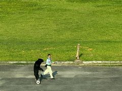 -深圳野生动物园