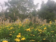 -樽宴酒楼·地道川菜·品质宴请