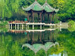 -棠湖公园