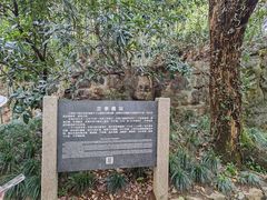 -兰亭风景区