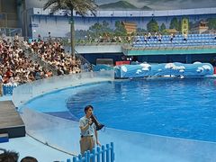 -海合安成都极地海洋公园