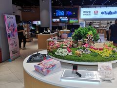 -Sony Store索尼(深圳深业上城店)