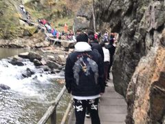 -茅兰沟国家森林公园
