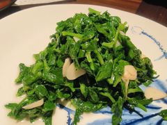 清炒豌豆尖-东莱海上(长宁来福士店)