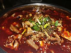 -宽口美蛙鱼头(大唐西市店)