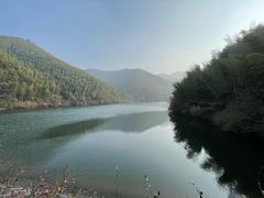 -天乐农家鱼头王(天目湖店)