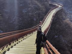 -少华山国家森林公园