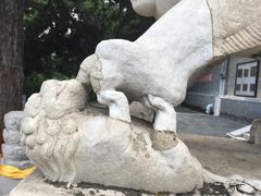 -北京鹿世界主题园