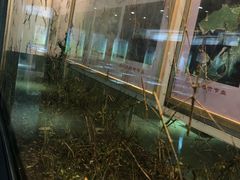 -上海昆虫博物馆