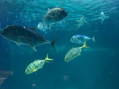 -常州海昌海洋探索馆