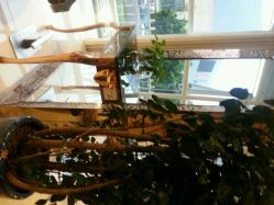 android_upload_pic-圣安娜美业