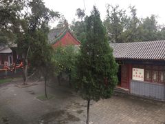 -关林